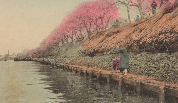 Nézegess csodás 100 éves képeslapokat Japánról!