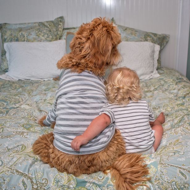 Napi cukiság: az egyforma pizsamás kisfiútól és kutyájától Te is elolvadsz majd