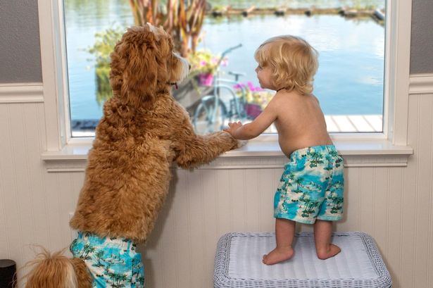 Napi cukiság: az egyforma pizsamás kisfiútól és kutyájától Te is elolvadsz majd