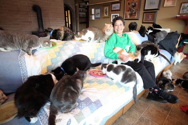 Lakókocsiba költözött a nő, hogy a macskáié lehessen a háza